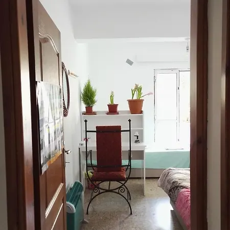 Hostel Maxim